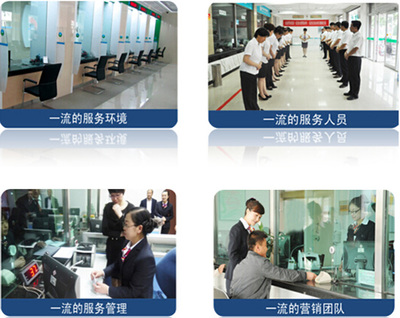 服務(wù)營銷一體化執(zhí)行項(xiàng)目軟件開發(fā) 驅(qū)動業(yè)務(wù)增長的新引擎